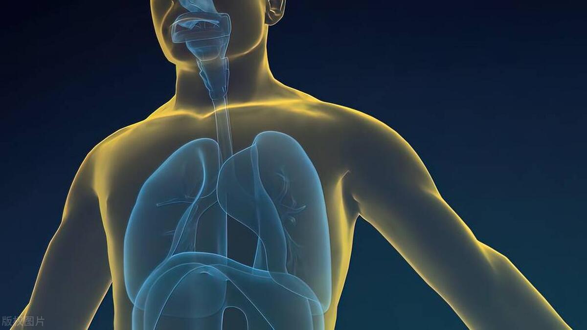 补硒会不会心率加快(心率加快补钙)-硒宝网