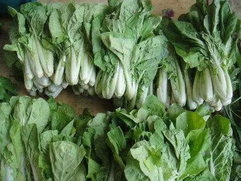 50岁左右补钙吃哪种好（优先补钙片）-硒宝网