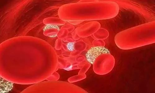 十大补铁食物(食物补铁排行榜)-硒宝网