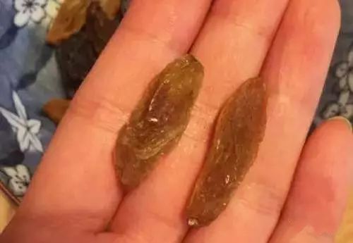 十大补铁食物(食物补铁排行榜)-硒宝网