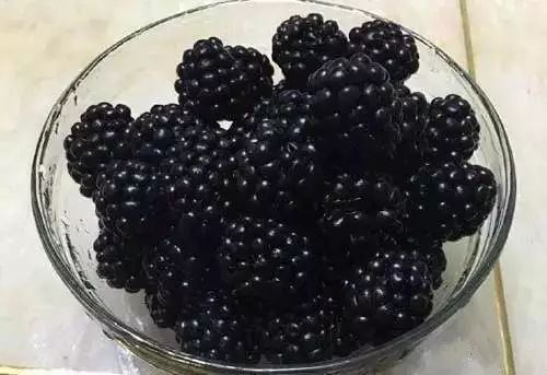 十大补铁食物(食物补铁排行榜)-硒宝网