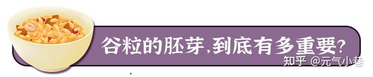 龟鹿补硒燕麦胚芽粉（龟鹿粉的功效）-硒宝网