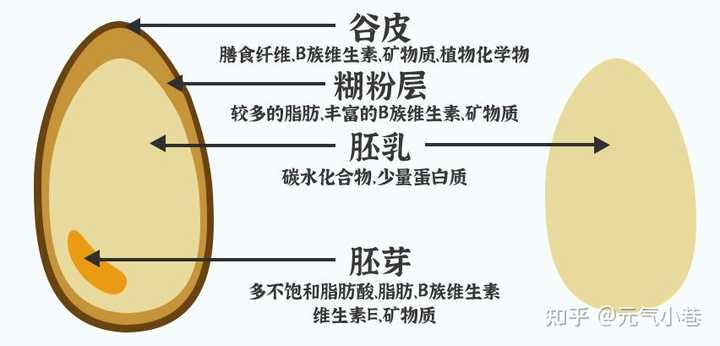 龟鹿补硒燕麦胚芽粉（龟鹿粉的功效）-硒宝网