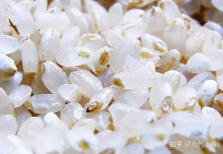 龟鹿补硒燕麦胚芽粉（龟鹿粉的功效）-硒宝网