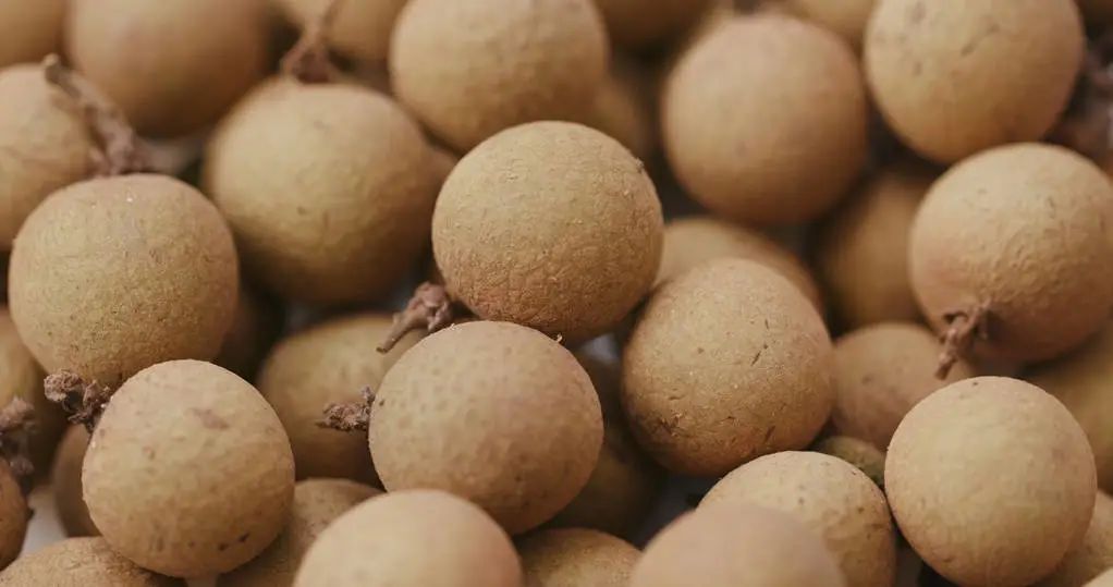 十大补铁食物（吃什么食物补铁）-硒宝网