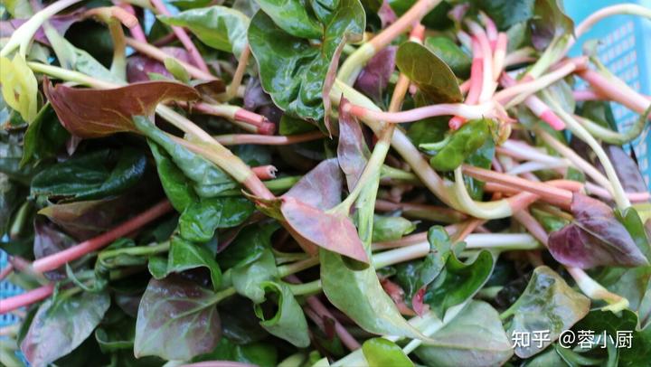 补锌什么时候吃最好（补锌吃了有什么好处）-硒宝网