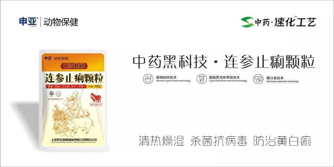 猪仔补硒过敏打啥针(猪打针过敏用什么药解救)-硒宝网