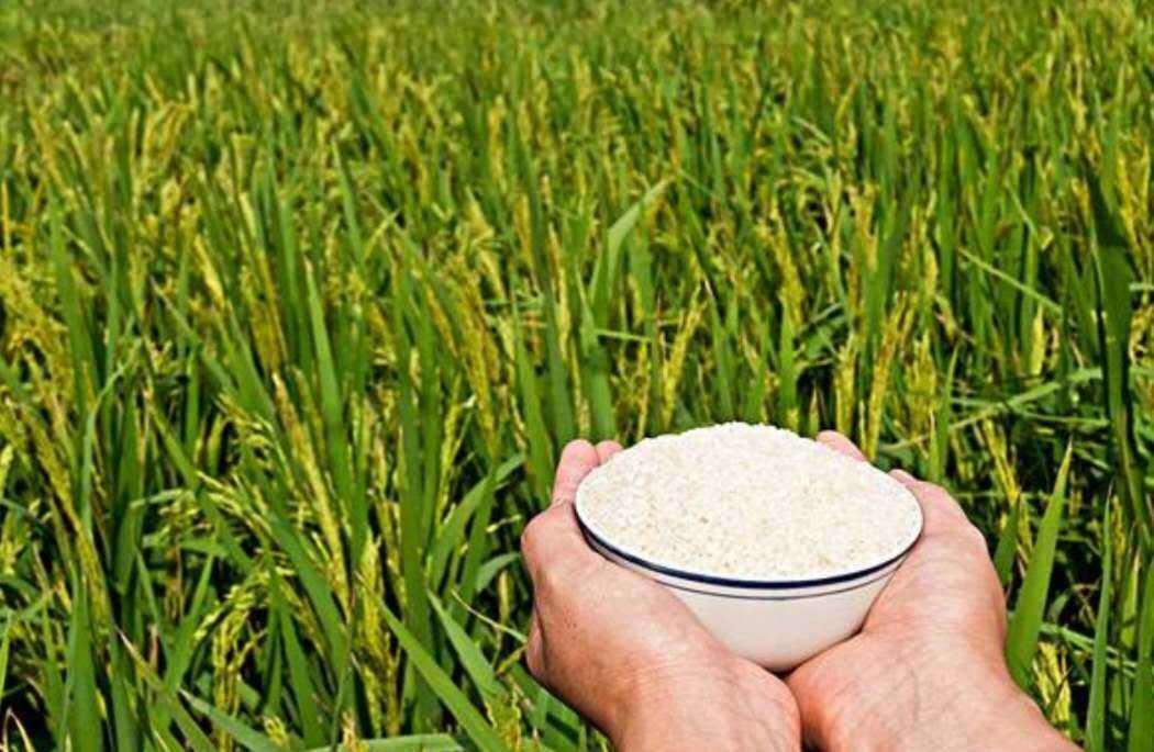 人体缺硒怎么补才对（人体缺硒用什么食补）-硒宝网