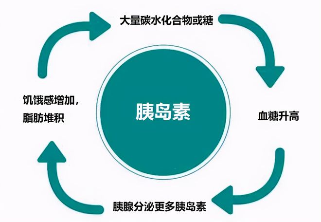 肾功能衰竭能补硒吗（肾能补衰竭功能硒元素吗）-硒宝网