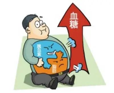 肾功能衰竭能补硒吗（肾能补衰竭功能硒元素吗）-硒宝网