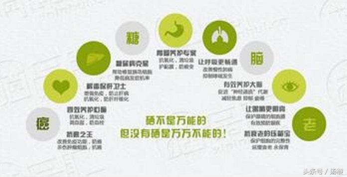 钙铁锌硒能同时补吗(钙铁锌硒还有啥)-硒宝网