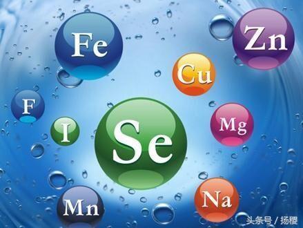 钙铁锌硒能同时补吗(钙铁锌硒还有啥)-硒宝网