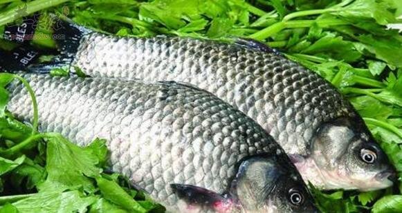 锌硒番茄红素同时补(番茄红素和锌硒宝片提高活力)-硒宝网