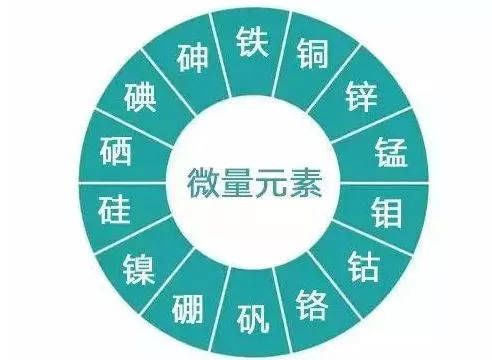 宝宝怎么查微量元素（查微量元素宝宝丑头皮血痛吗）-硒宝网