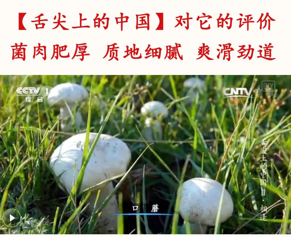 缺铁性贫血要补硒吗（缺铁硒怎么补）-硒宝网