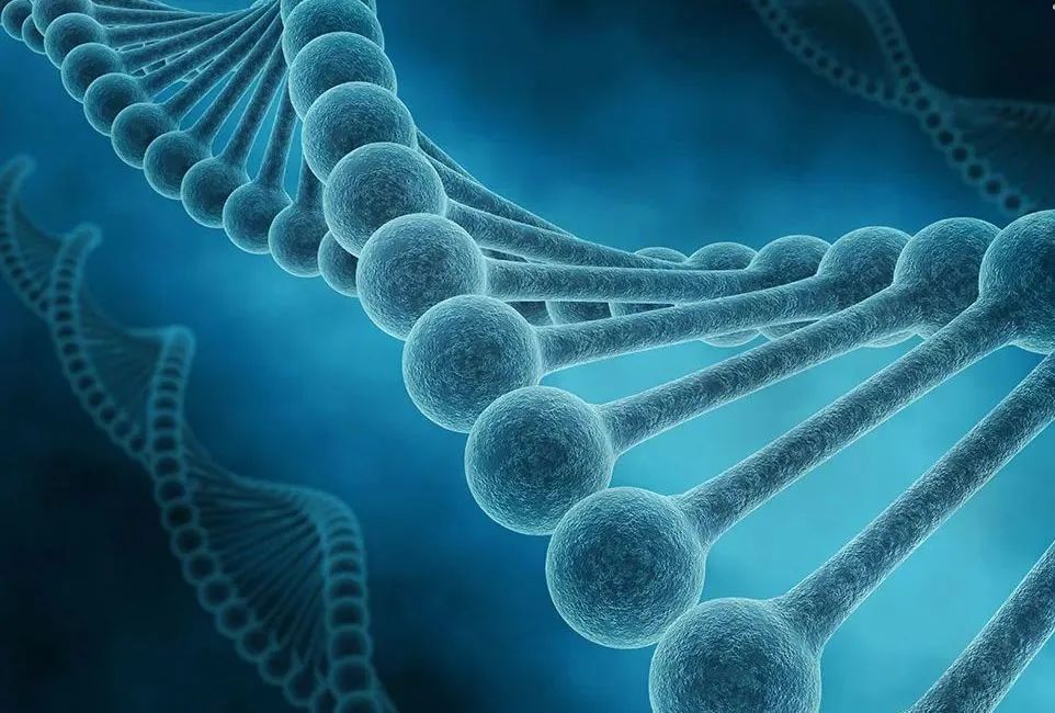 补硒的副作用有哪些(补硒的危害)-硒宝网