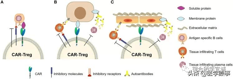 补硒的副作用有哪些(补硒的危害)-硒宝网