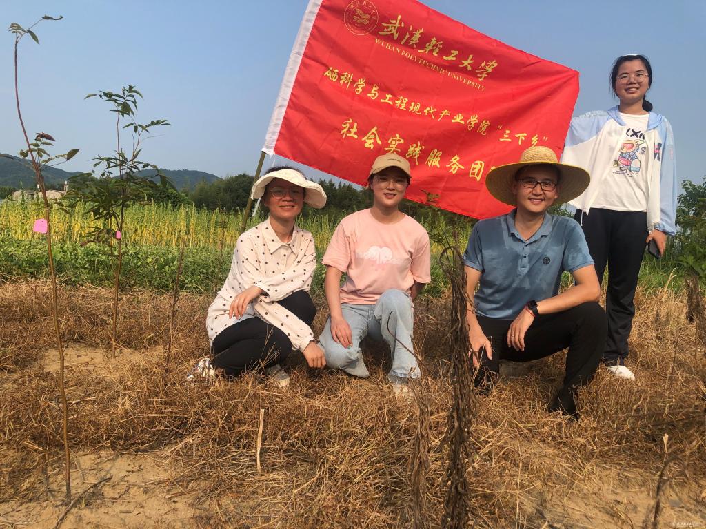 怎样用桑葚科学补硒(桑葚的补肾效果好不好)-硒宝网