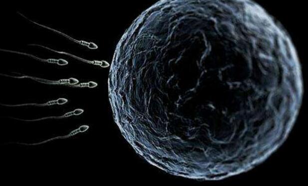 多吃啥蔬菜水果补硒（补充硒的水果）-硒宝网