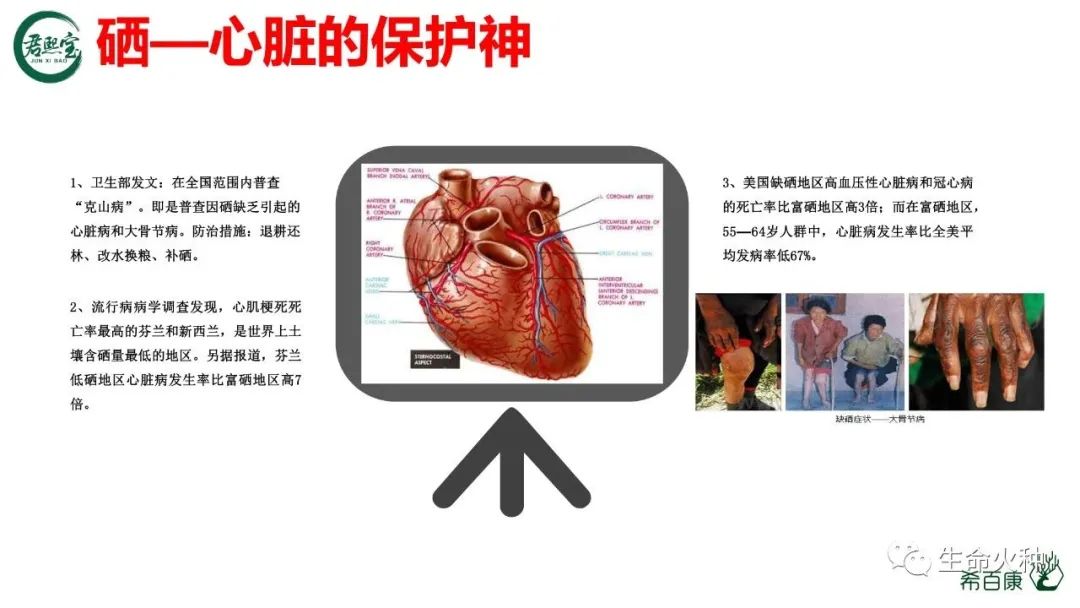 补硒对身体有何影响(补硒会不会过量)-硒宝网