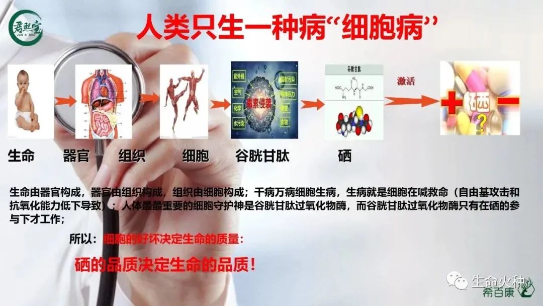 补硒对身体有何影响(补硒会不会过量)-硒宝网