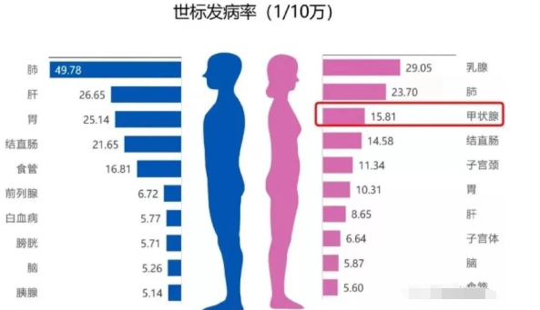 甲状腺癌术后能补硒（甲状腺癌术后可以吃硒片吗）-硒宝网