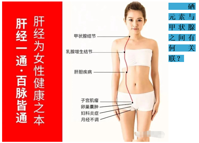 甲状腺癌术后能补硒（甲状腺癌术后可以吃硒片吗）-硒宝网