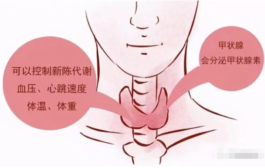 甲状腺癌术后能补硒（甲状腺癌术后可以吃硒片吗）-硒宝网