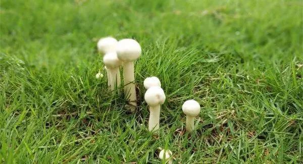 补硒不随饭吃可以吗（硒可以随便补充吗）-硒宝网