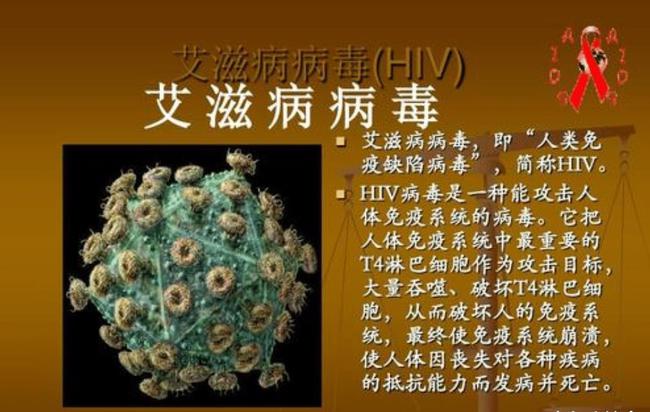 提高免疫力补硒好吗（补硒免疫力）-硒宝网