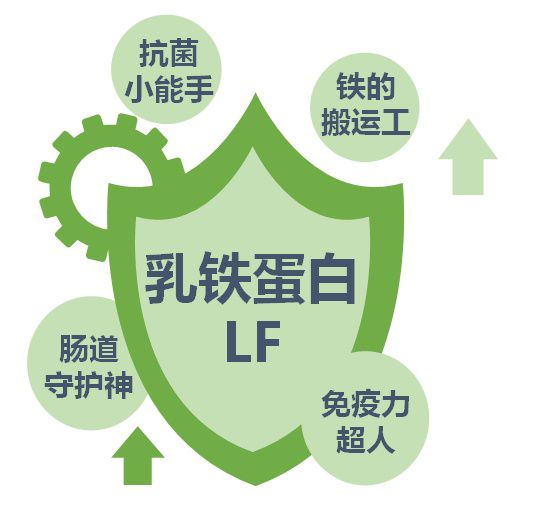 贫血 补铁(贫血补铁剂吃多长时间)-硒宝网