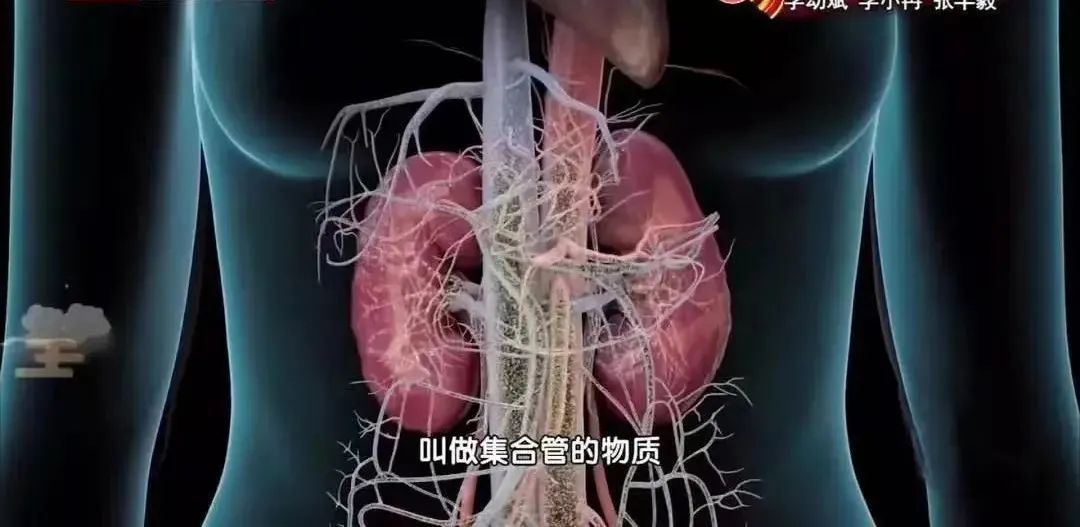 补硒会影响长痘痘吗(痘痘补长影响硒会流失吗)-硒宝网