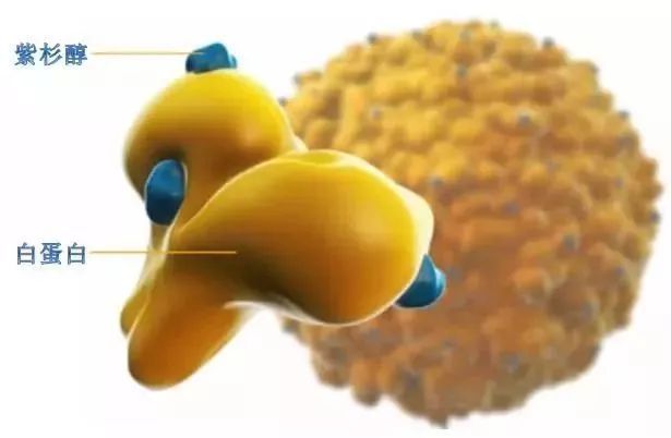 适合母乳补硒保健品（哺乳期补硒）-硒宝网