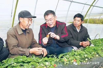 江苏每天补硒多少钱(江苏缺硒)-硒宝网