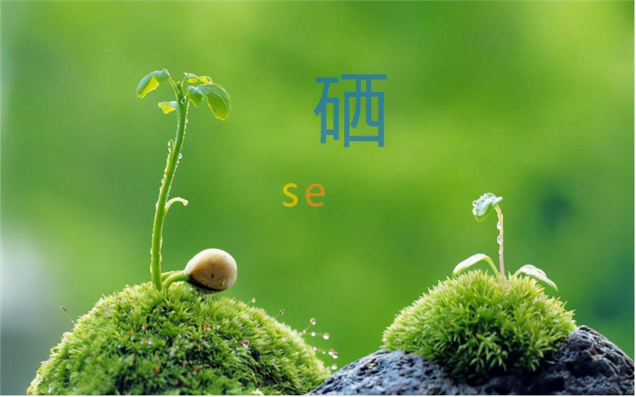 全谷物营养是补硒吗(谷物营养补硒是补什么的)-硒宝网