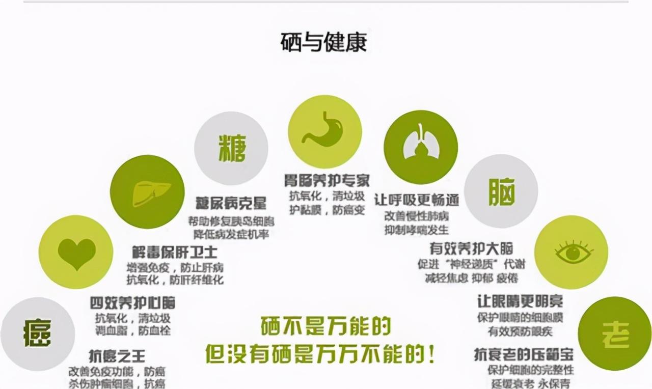 全谷物营养是补硒吗(谷物营养补硒是补什么的)-硒宝网