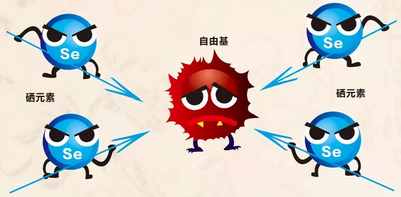 全谷物营养是补硒吗(谷物营养补硒是补什么的)-硒宝网