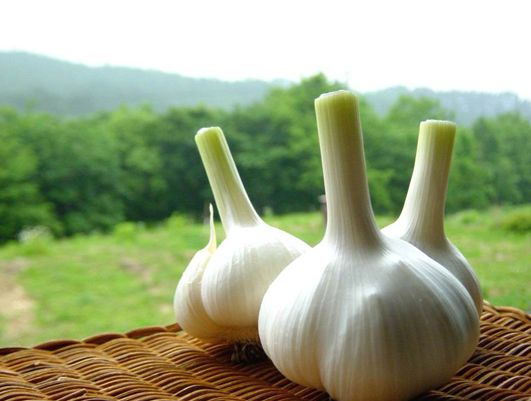 补硒能修复胃黏膜吗(补硒能治疗肠胃)-硒宝网