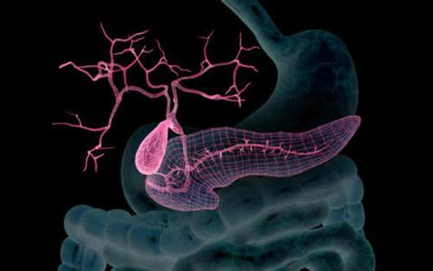 胰腺癌术后如何补硒(胰腺癌补硒有什么好处)-硒宝网