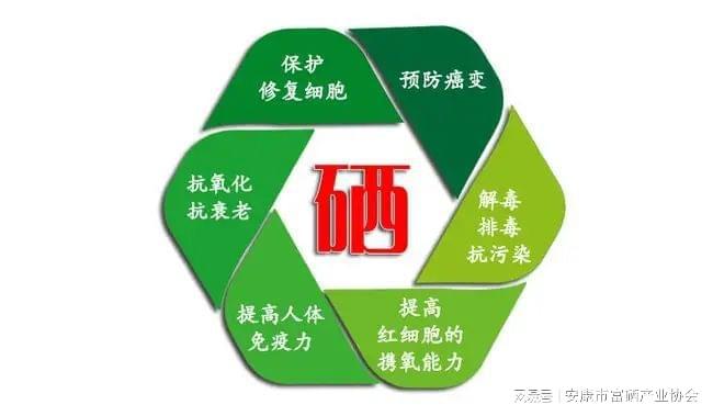 心脑血管可以补硒吗(补硒能治心脑血管病吗)-硒宝网