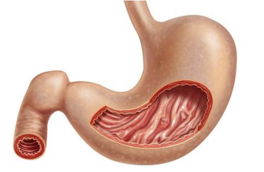 补硒能修复胃黏膜吗(补硒对胃病的好处)-硒宝网
