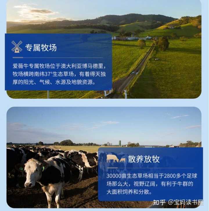 补钙哪个好(补钙好的食物有哪些)-硒宝网