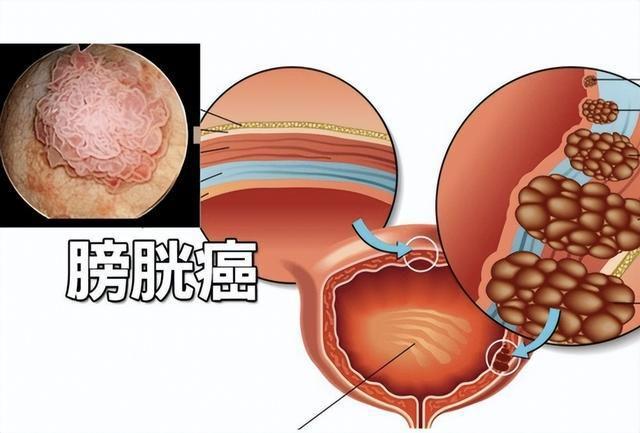 哪些人不能补硒元素(补硒元素的好处)-硒宝网