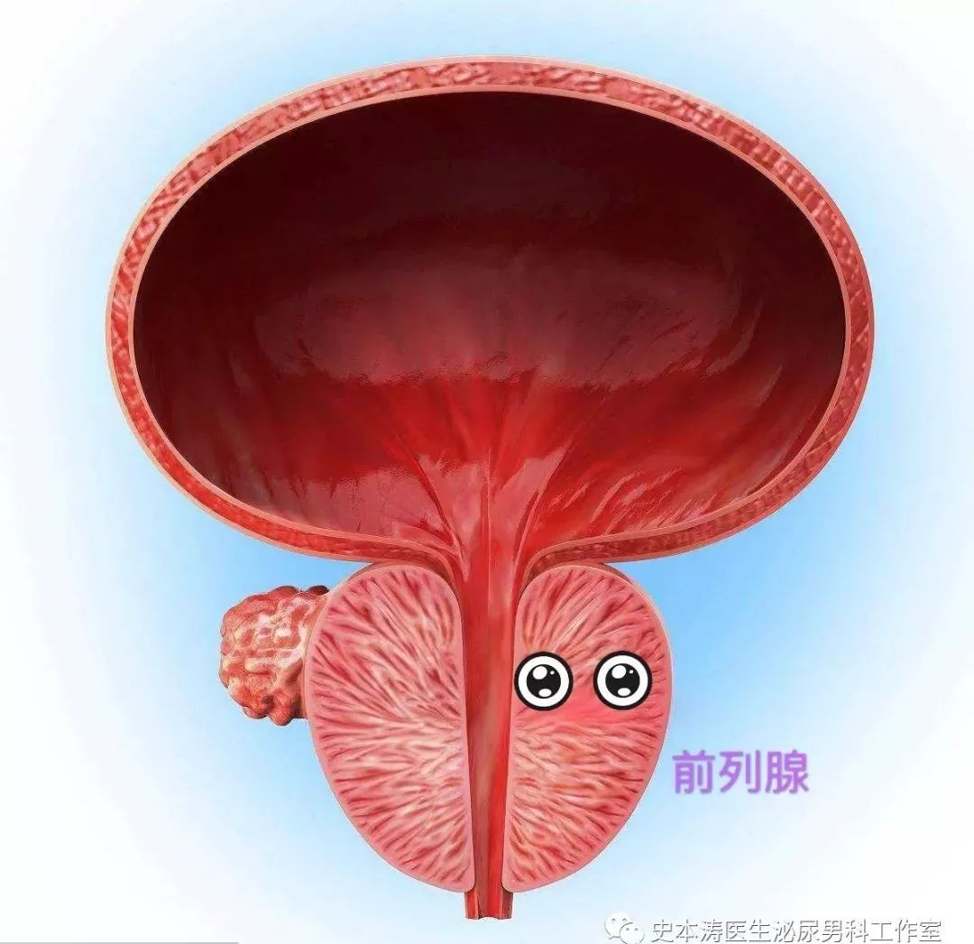 哪些人不能补硒元素(补硒元素的好处)-硒宝网