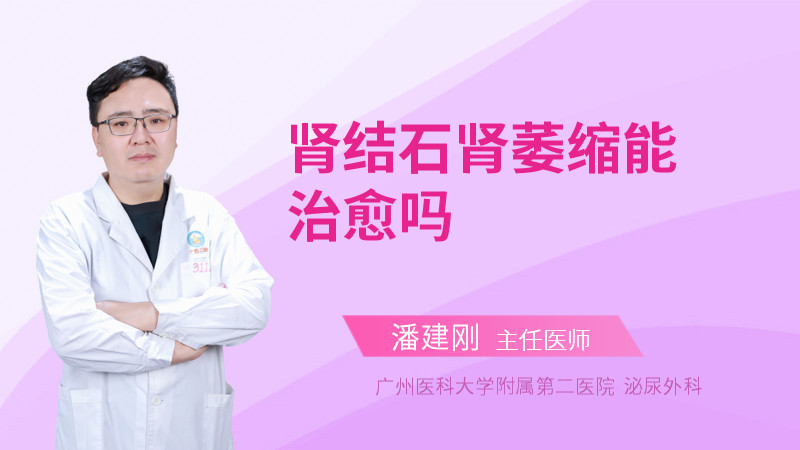 肾结石能补钙吗(肾结石补钙吃什么钙好)-硒宝网