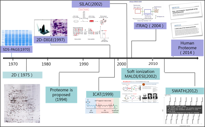 补铁剂(补铁剂需要吃多久才能不贫血了)-硒宝网