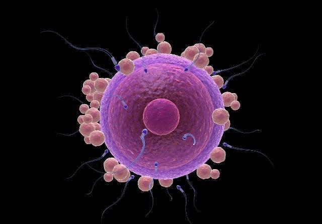 身体寒凉补硒可以吗（硒能随便补吗）-硒宝网