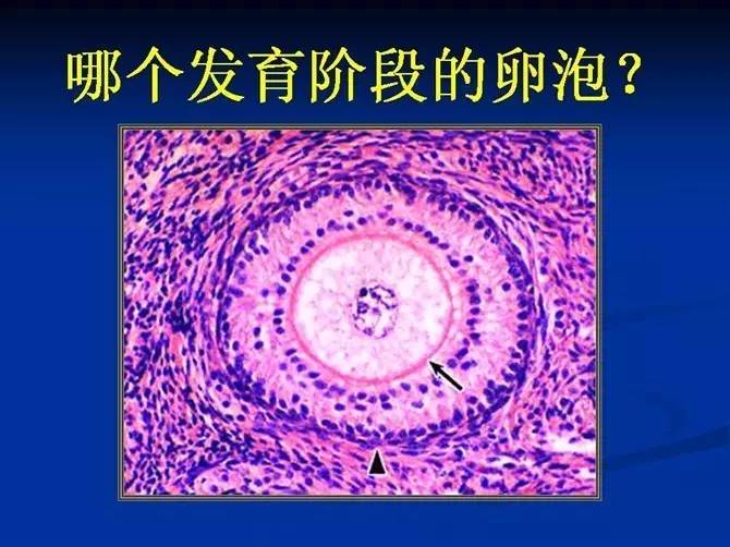 身体寒凉补硒可以吗（硒能随便补吗）-硒宝网