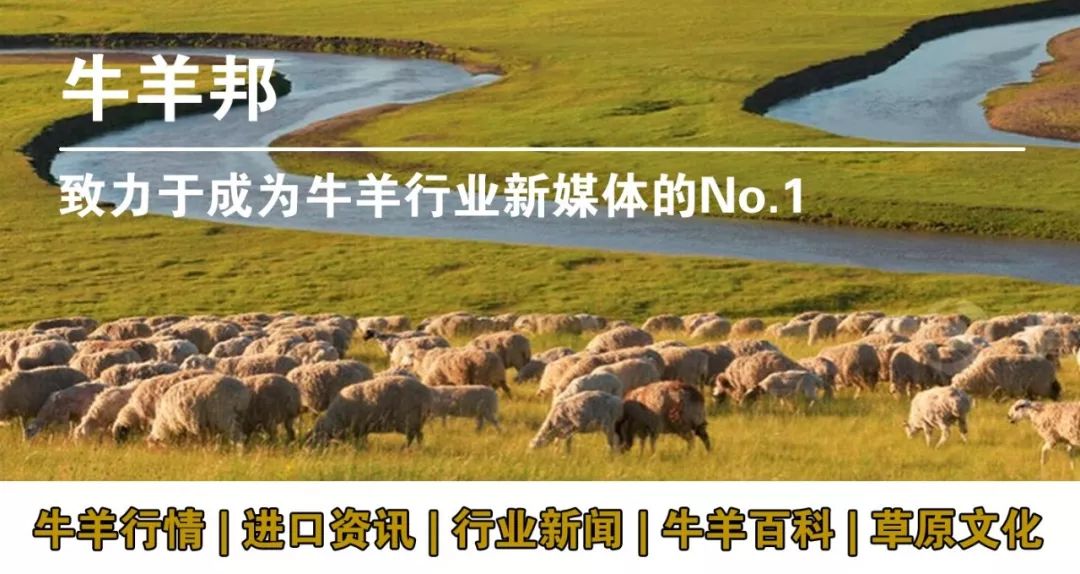 牛肉补铁吗(牛肉补铁快吗)-硒宝网