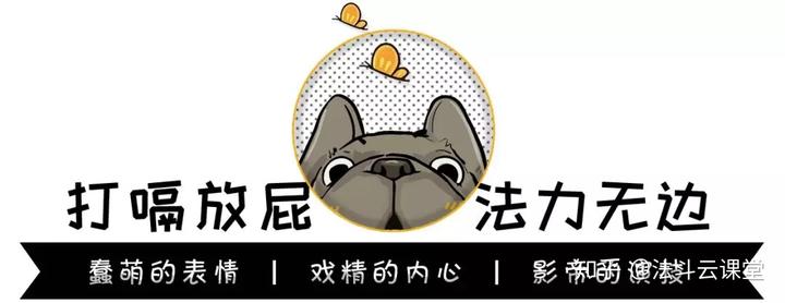 狗怎么补钙(补钙狗粮)-硒宝网